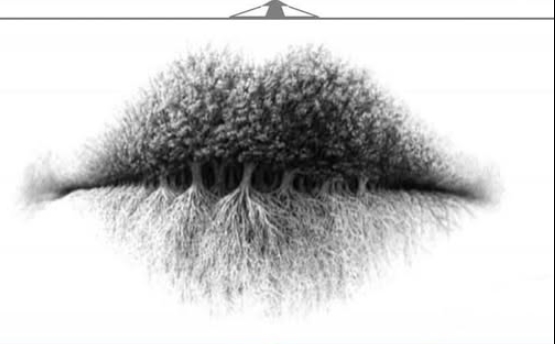 RESİMDE GÖRDÜĞÜN KİŞİLİĞİNİ ELE VERİYOR