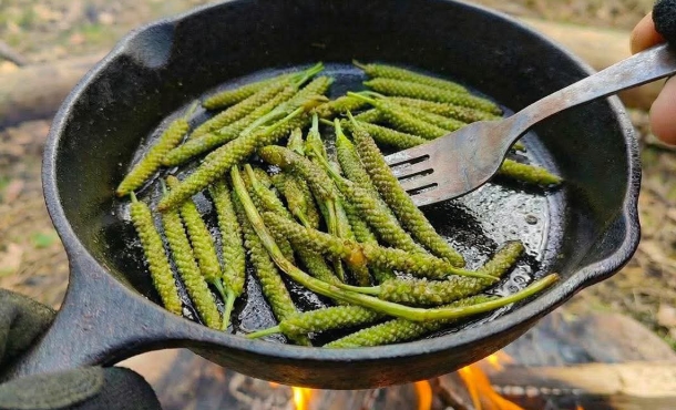 Resimde Gördüğünüz Bitki Dünyanın En Mucizevi Bitkilerinden Biri