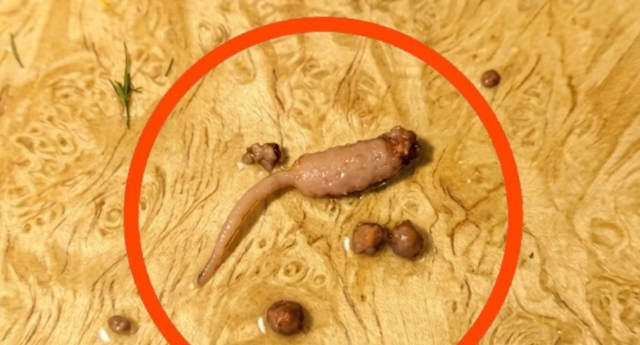 Kıyma pişiriyordum ve tavadan çıkardığımda kıymaya benzemeyen garip bir cisim fark ettim.