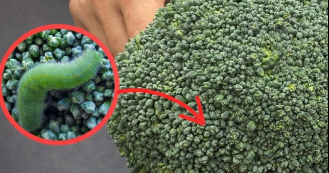 Brokoliyi sadece suyla yıkamak yanlıştır