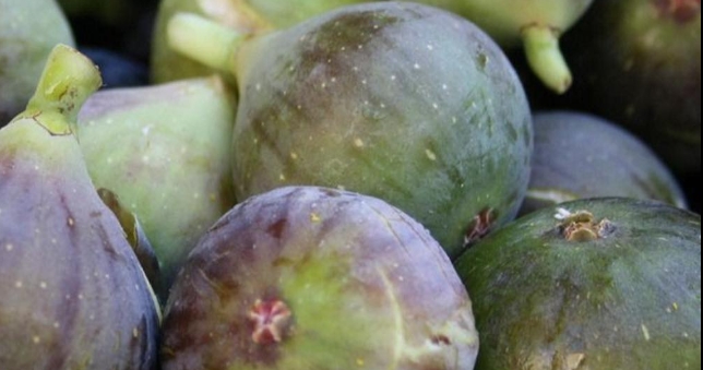 Doktorlar açıkladı İncirin faydaları olduğu kadar zararlarıda var