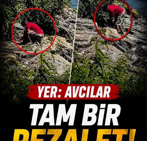 Yer Avcılar Rezalet