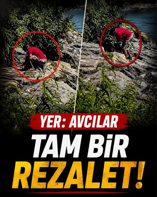 Yer Avcılar Rezalet