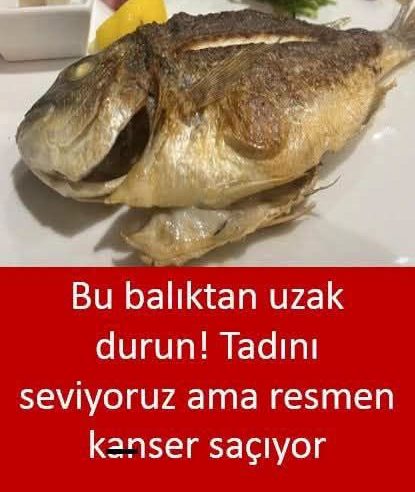 Bu Balıktan Uzak Durun