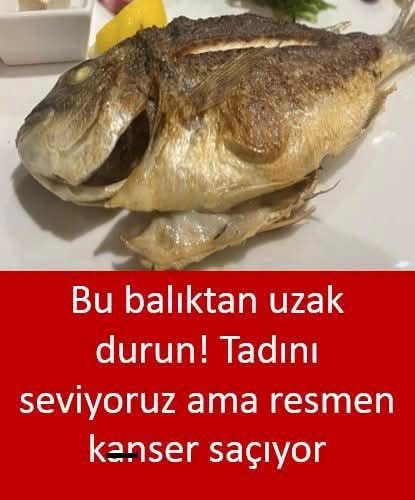 Bu Balıktan Uzak Durun